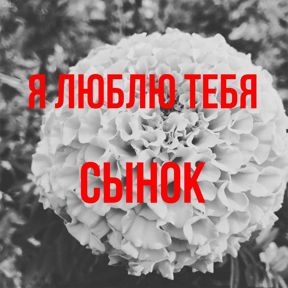 Открытка  с именем. Сынок, Я люблю тебя  