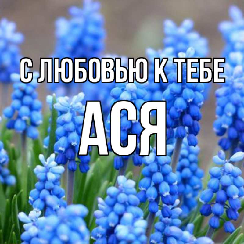 Картинка С любовью к тебе, Ася