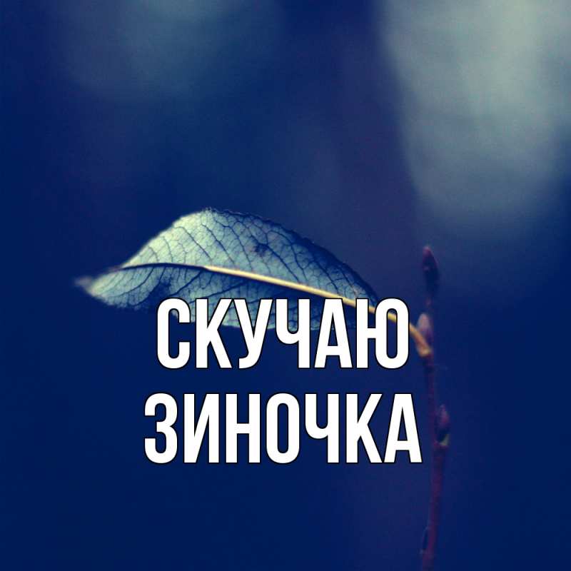Картинка Скучаю, Зиночка