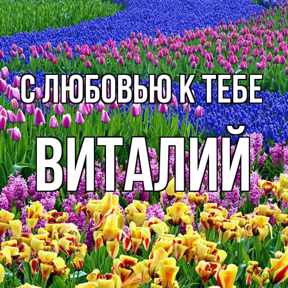 Открытка  с именем. Виталий, С любовью к тебе  