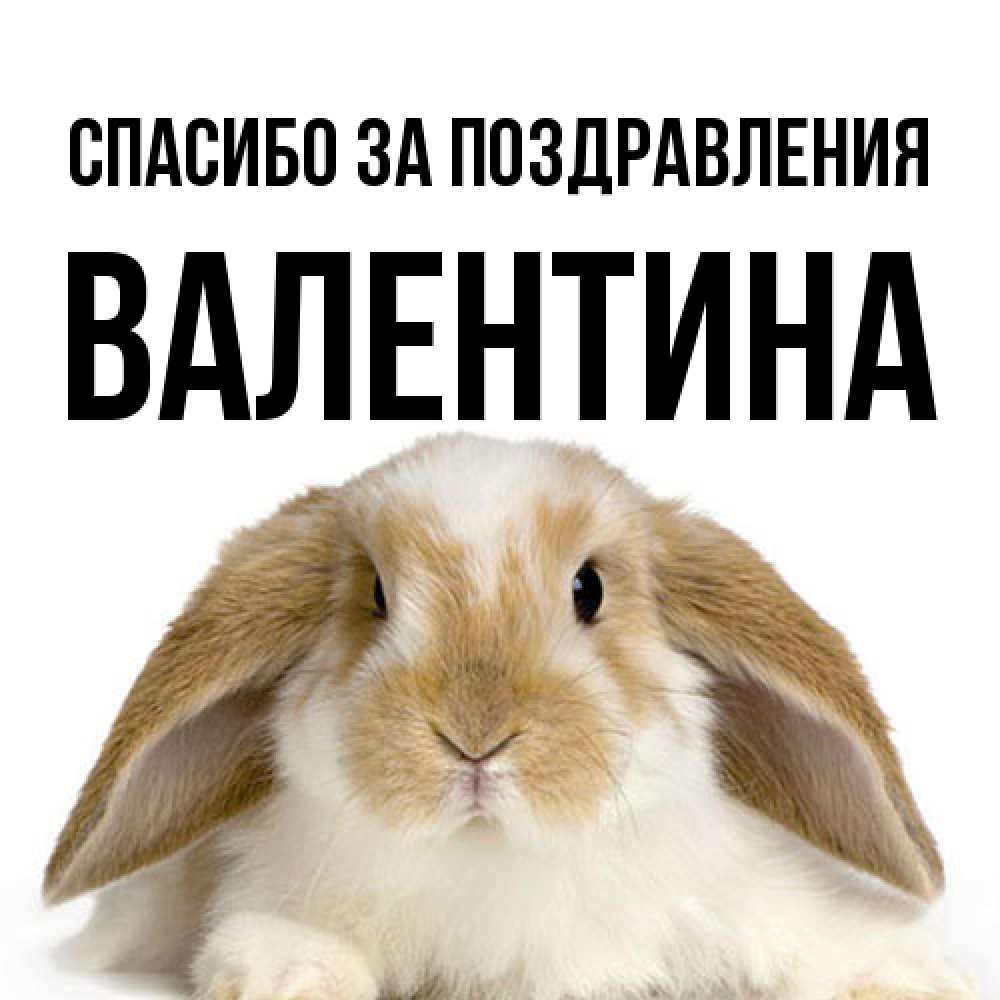 Открытка  с именем. валентина, Спасибо за поздравления  