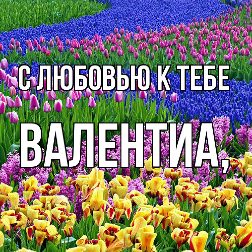 Открытка  с именем. Валентиа, С любовью к тебе  