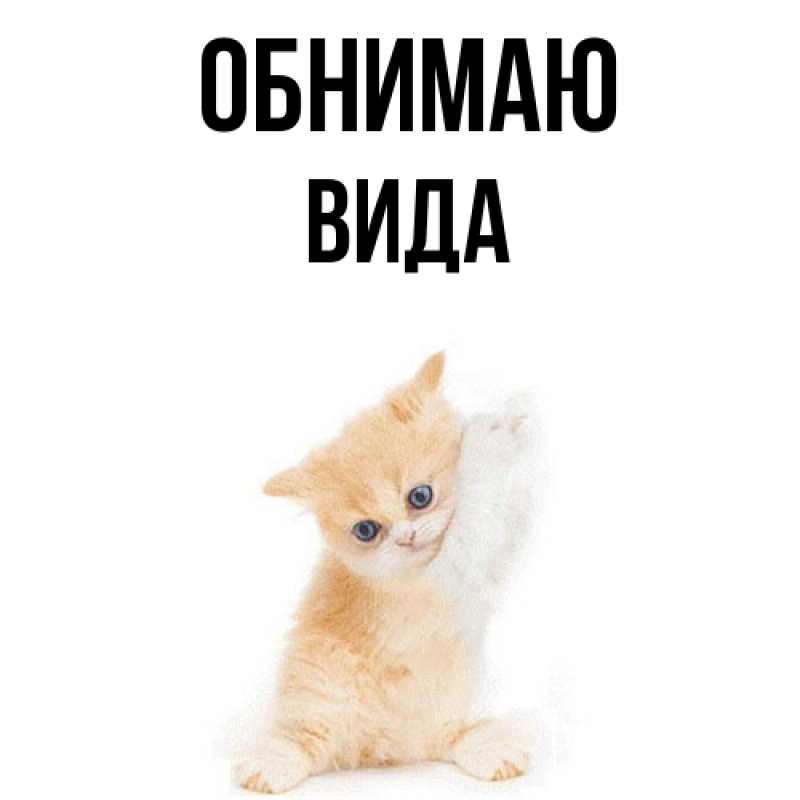 Картинка Обнимаю, Вида