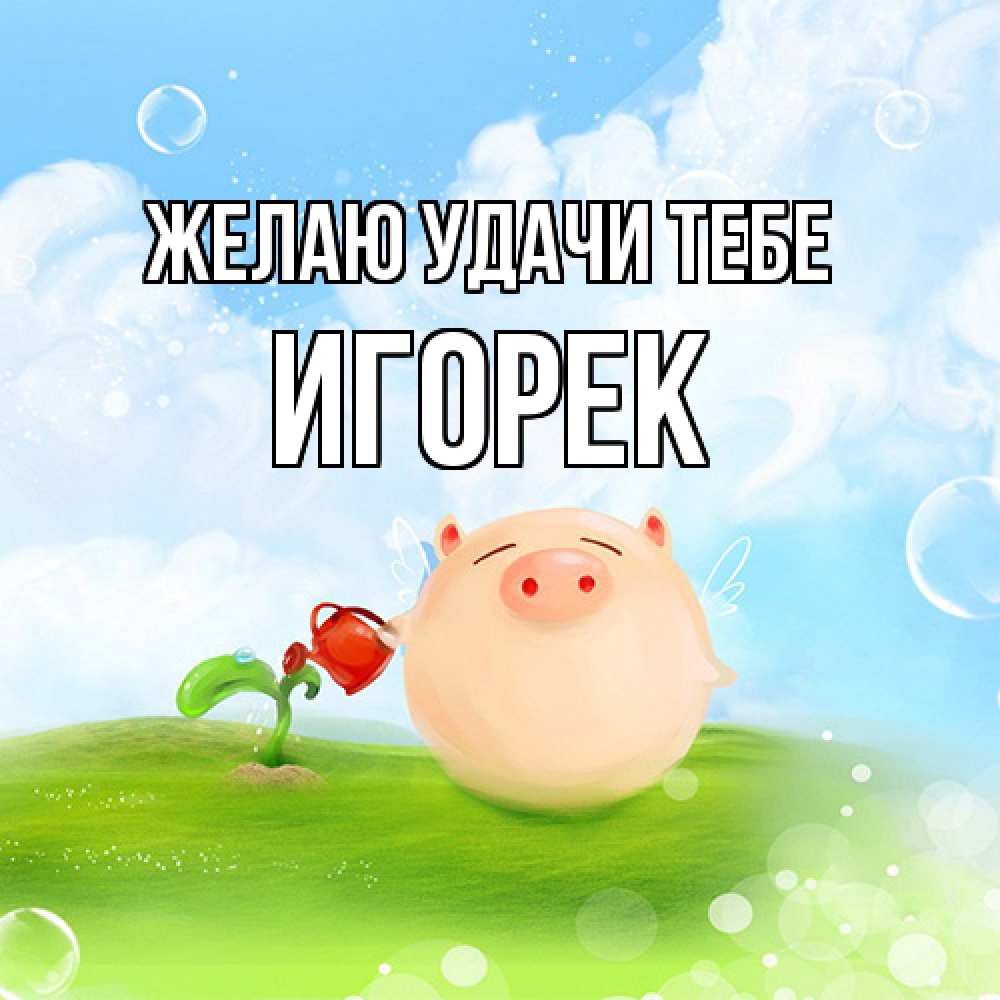 Открытка  с именем. Игорек, Желаю удачи тебе  