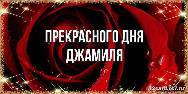 Картинка Прекрасного дня, Джамиля