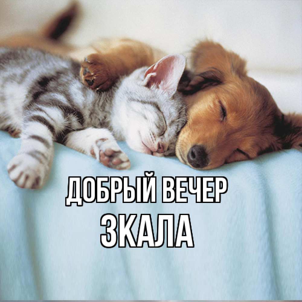 Открытка  с именем. ЗКАЛА, Добрый вечер  