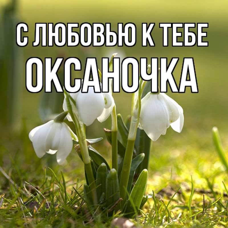 Картинка С любовью к тебе, ОКСАНОЧКА