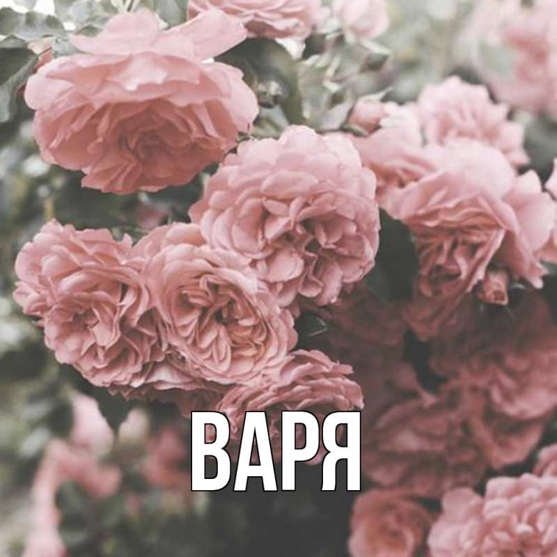 Картинка  с именем , варя