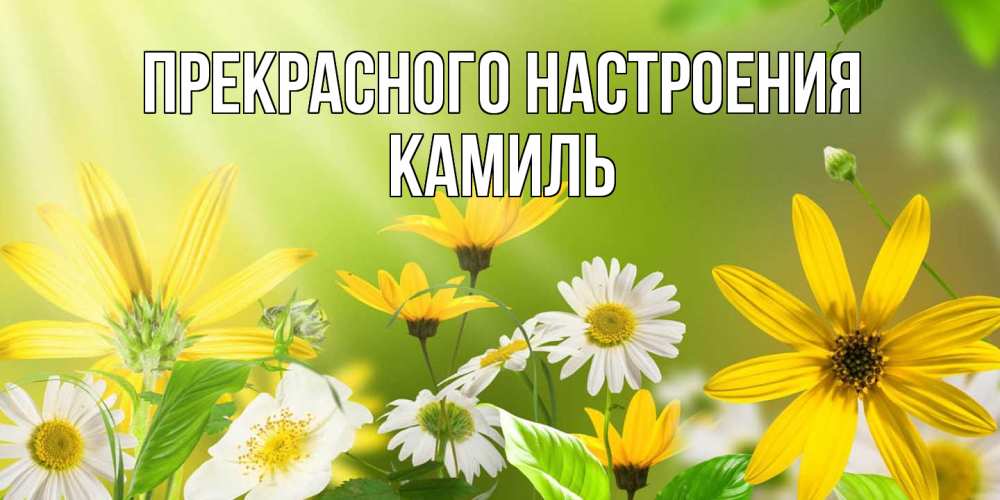 Открытка  с именем. Камиль, Прекрасного настроения  