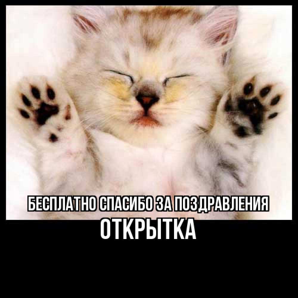 Открытка  с именем. открытка, Спасибо за поздравления  