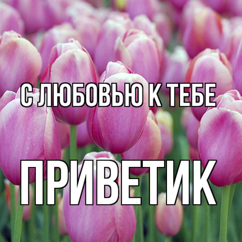 Картинка С любовью к тебе, приветик