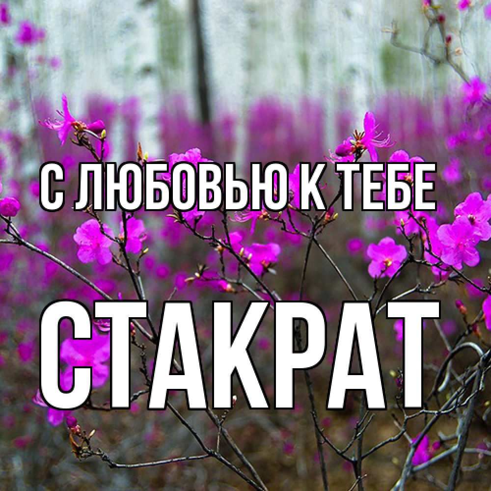 Открытка  с именем. Стакрат, С любовью к тебе  