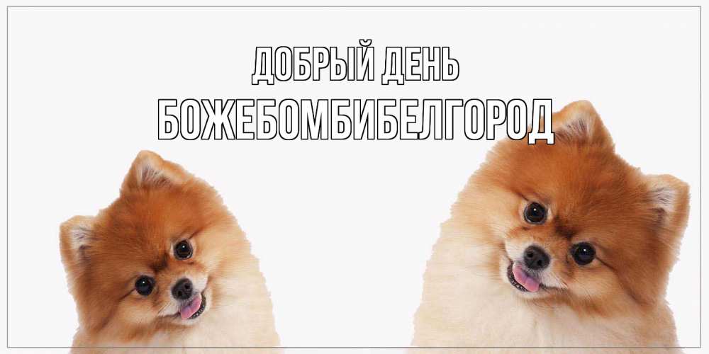 Открытка  с именем. божебомбибелгород, Добрый день  