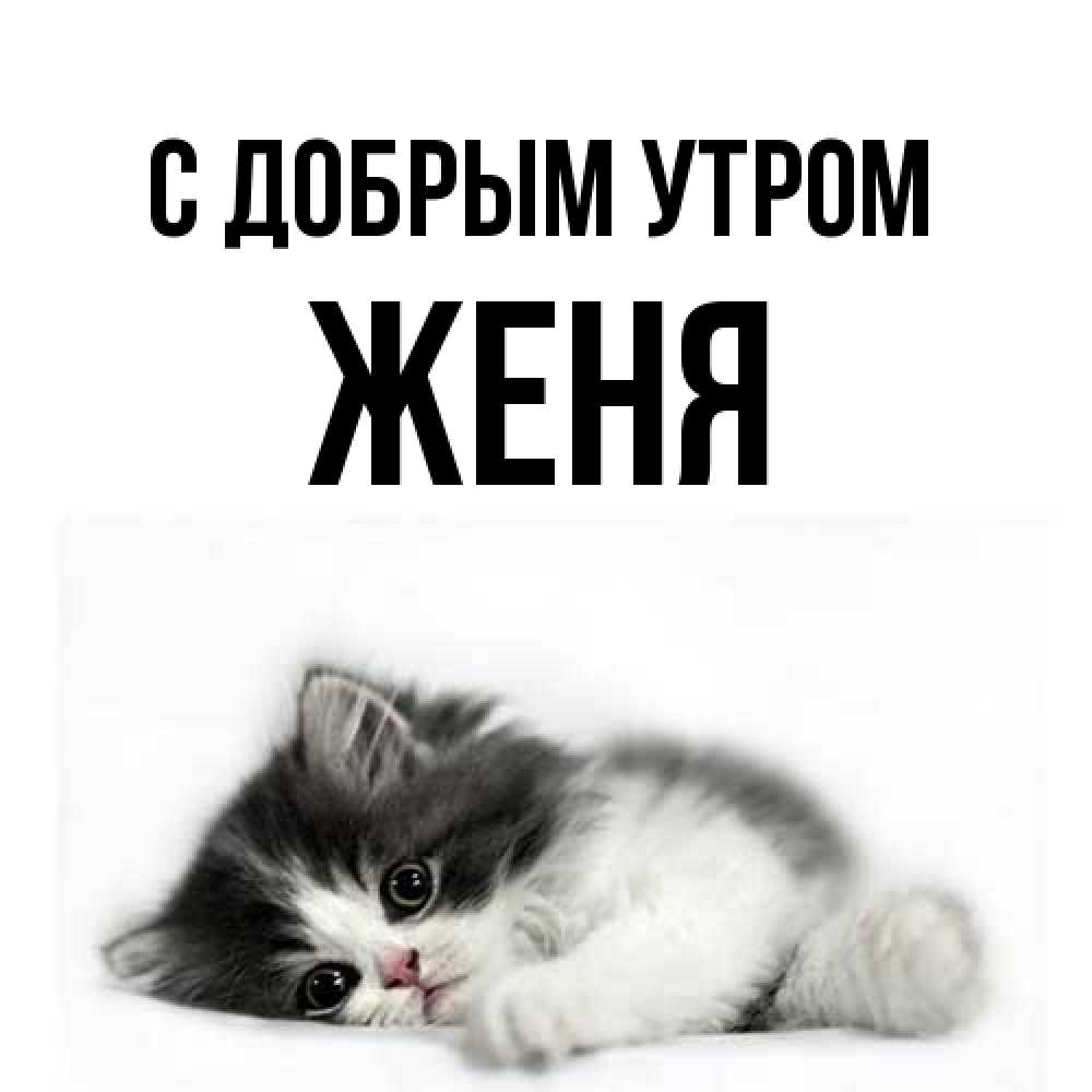 Открытка  с именем. Женя, С добрым утром  