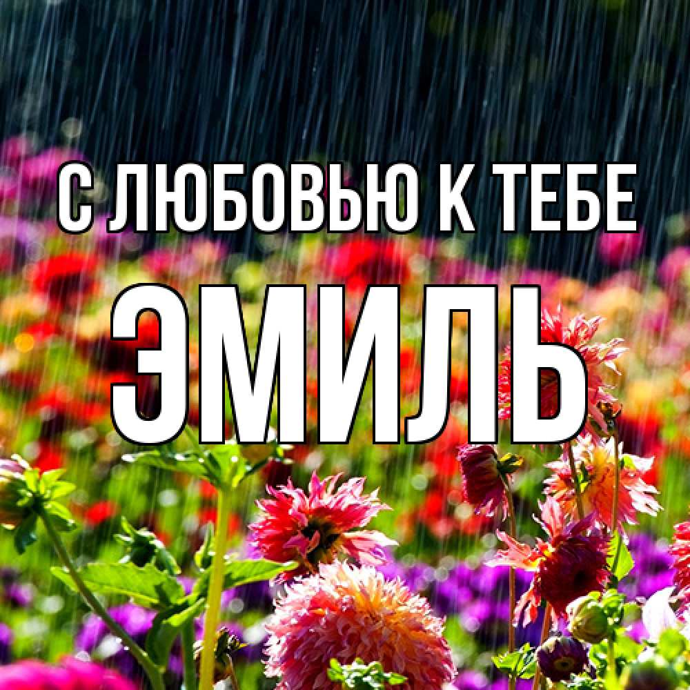 Открытка  с именем. Эмиль, С любовью к тебе  