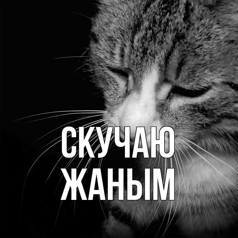 Картинка Скучаю, Жаным