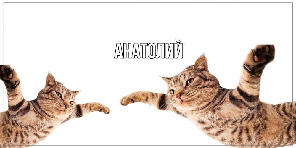 Открытка  с именем. Анатолий, Главная  