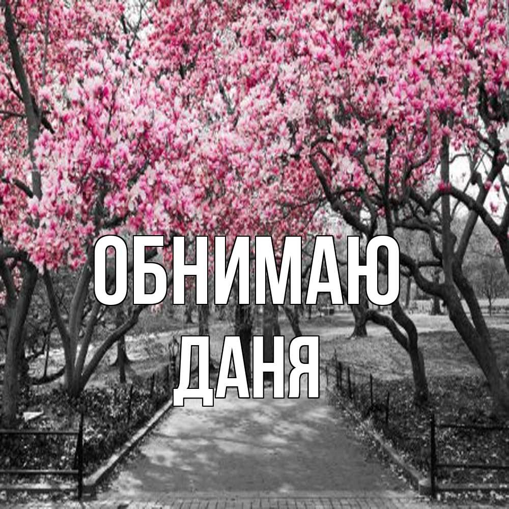 Открытка  с именем. Даня, Обнимаю  