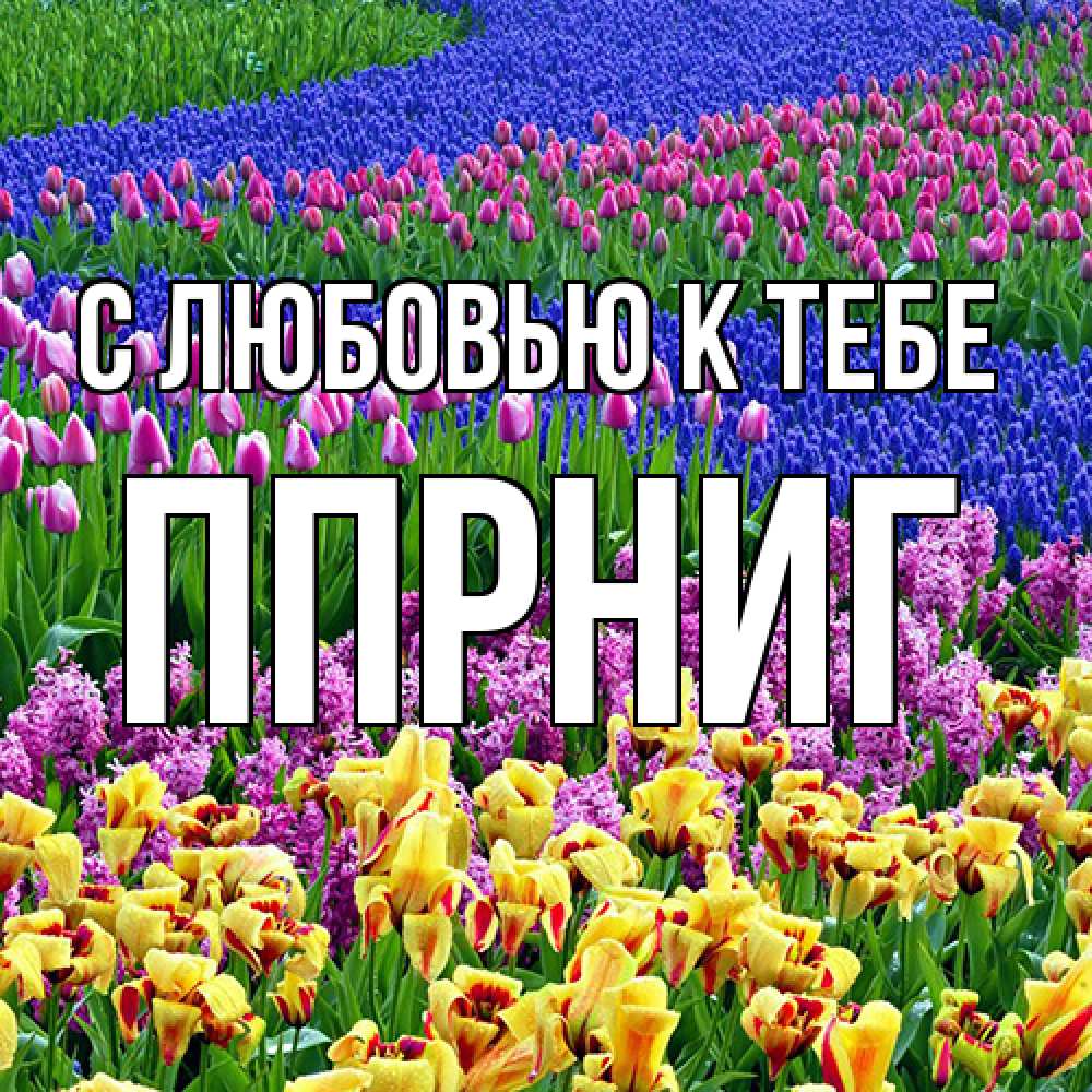 Открытка  с именем. Ппрниг, С любовью к тебе  