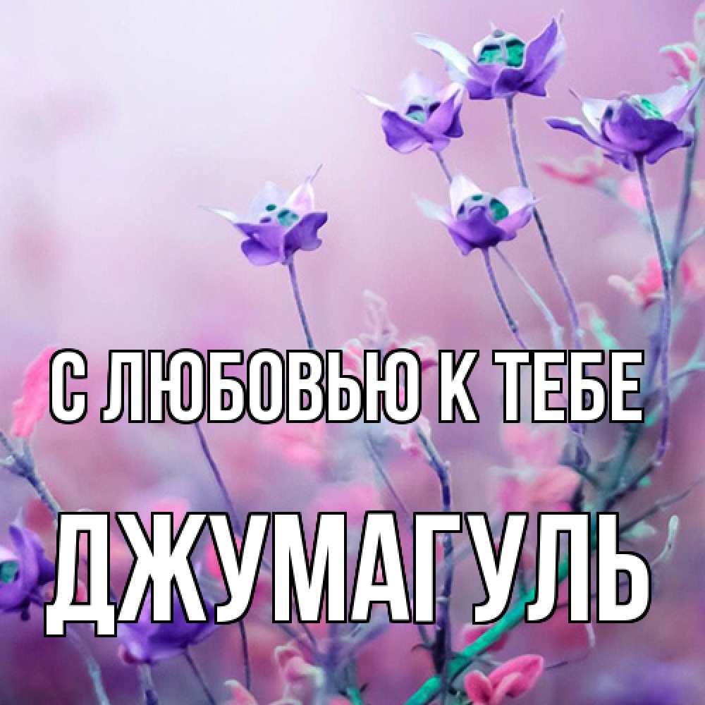 Открытка  с именем. Джумагуль, С любовью к тебе  