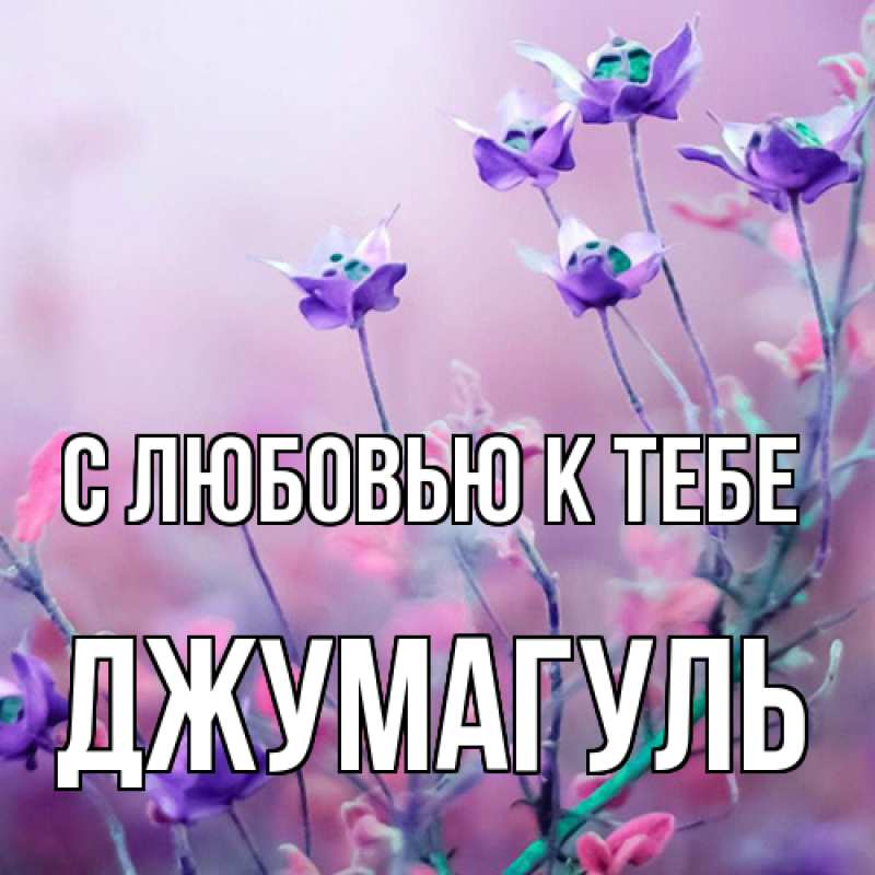 Картинка С любовью к тебе, Джумагуль