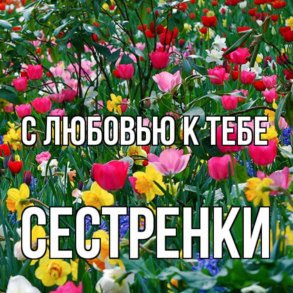 Открытка  с именем. Сестренки, С любовью к тебе  