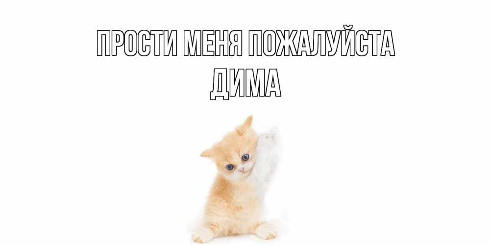 Открытка  с именем. Дима, Прости меня пожалуйста  