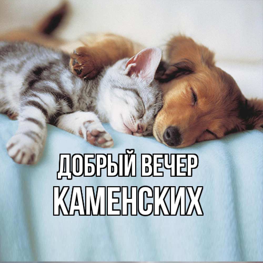 Открытка  с именем. Каменских, Добрый вечер  