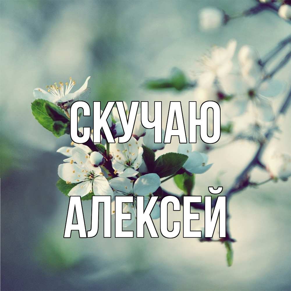 Открытка  с именем. Алексей, Скучаю  