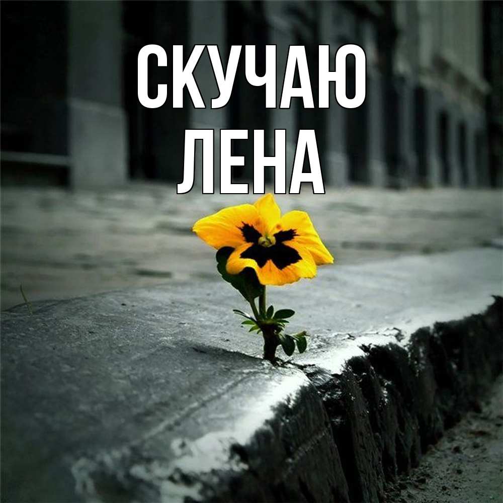 Открытка  с именем. лена, Скучаю  