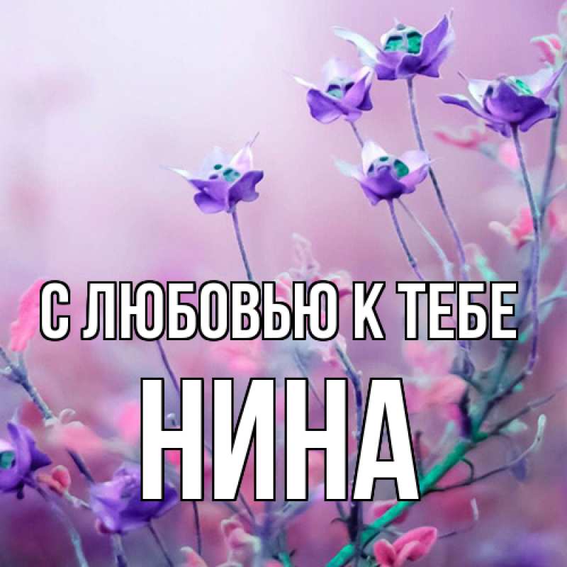 Картинка С любовью к тебе, Нина