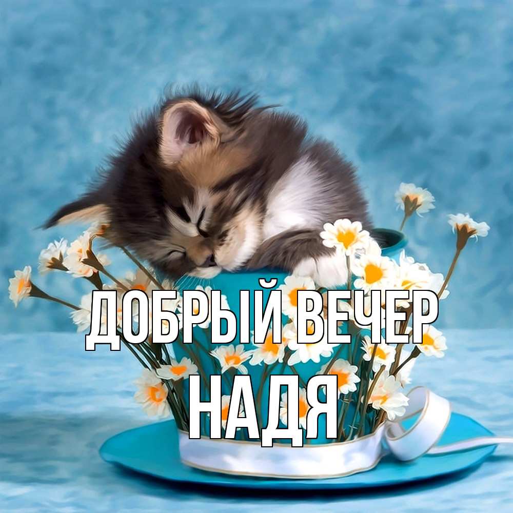 Открытка  с именем. Надя, Добрый вечер  