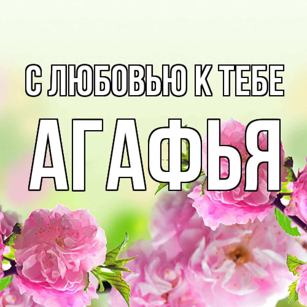 Открытка  с именем. Агафья, С любовью к тебе  
