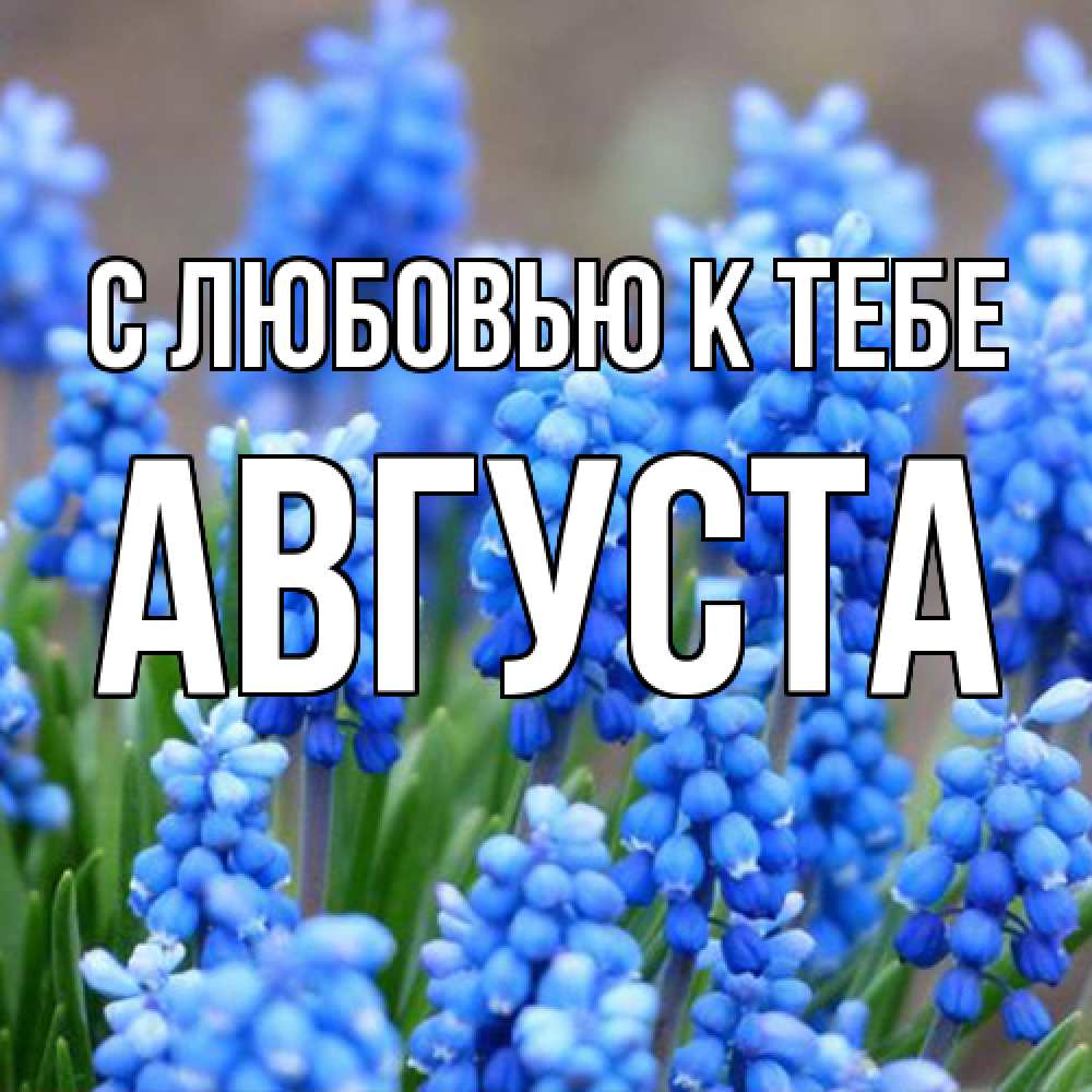 Открытка  с именем. Августа, С любовью к тебе  