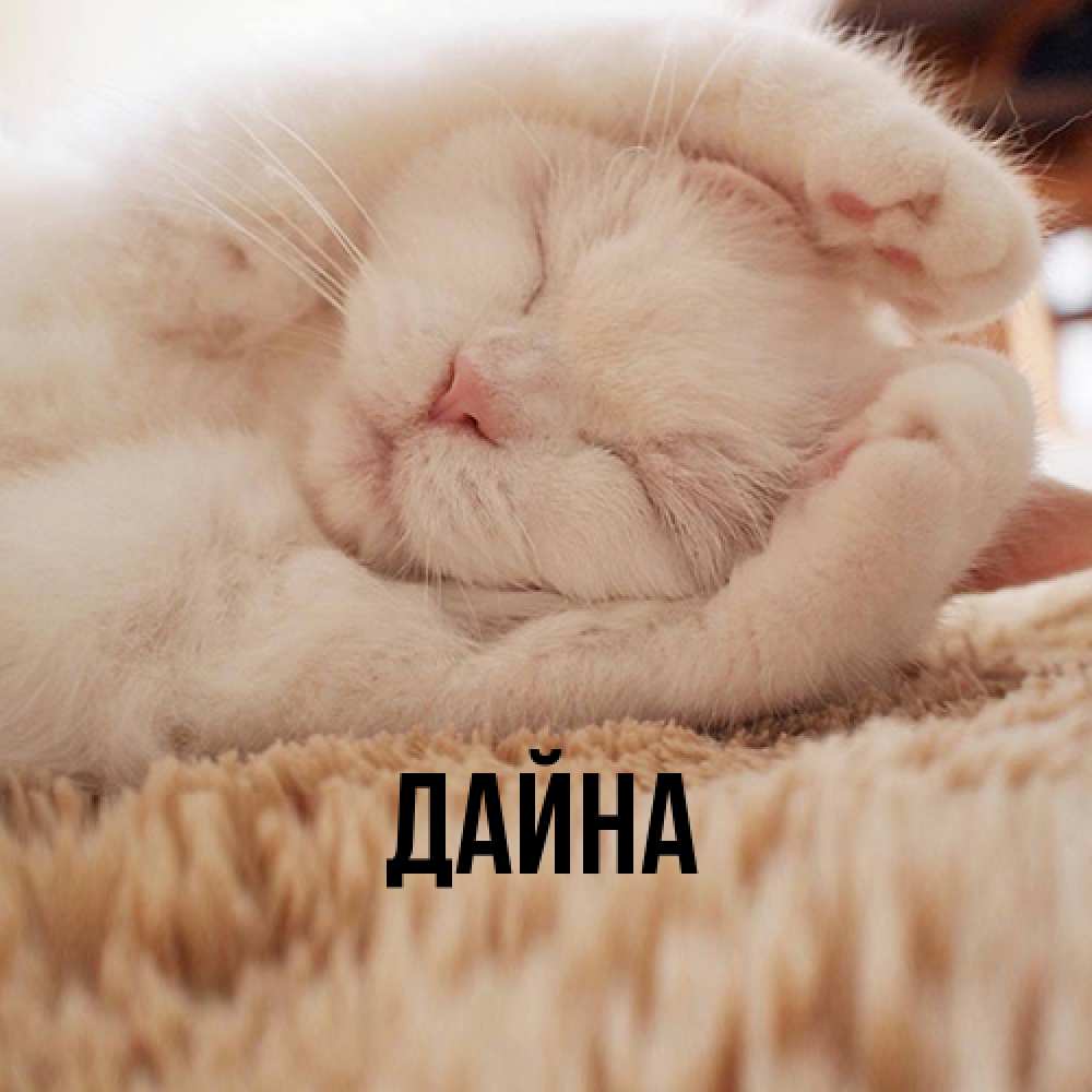 Открытка  с именем. Дайна, Главная  
