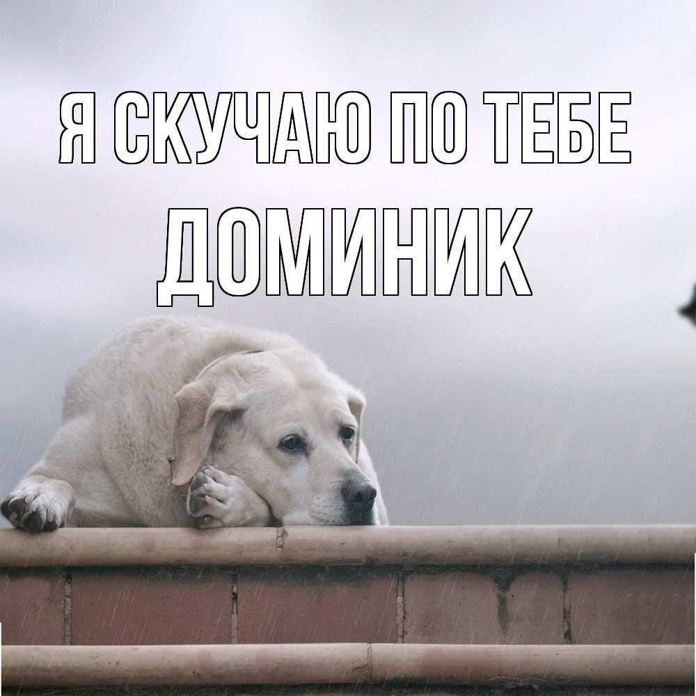 Открытка  с именем. Доминик, Я скучаю по тебе  