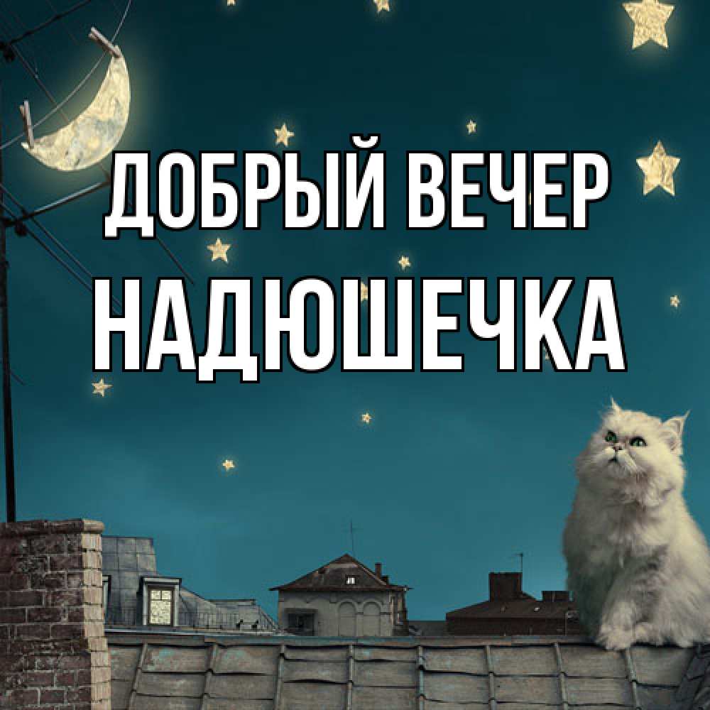 Открытка  с именем. Надюшечка, Добрый вечер  