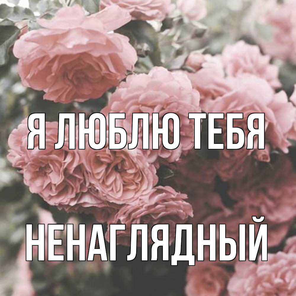 Открытка  с именем. Ненаглядный, Я люблю тебя  