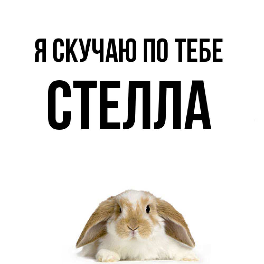 Открытка  с именем. Стелла, Я скучаю по тебе  