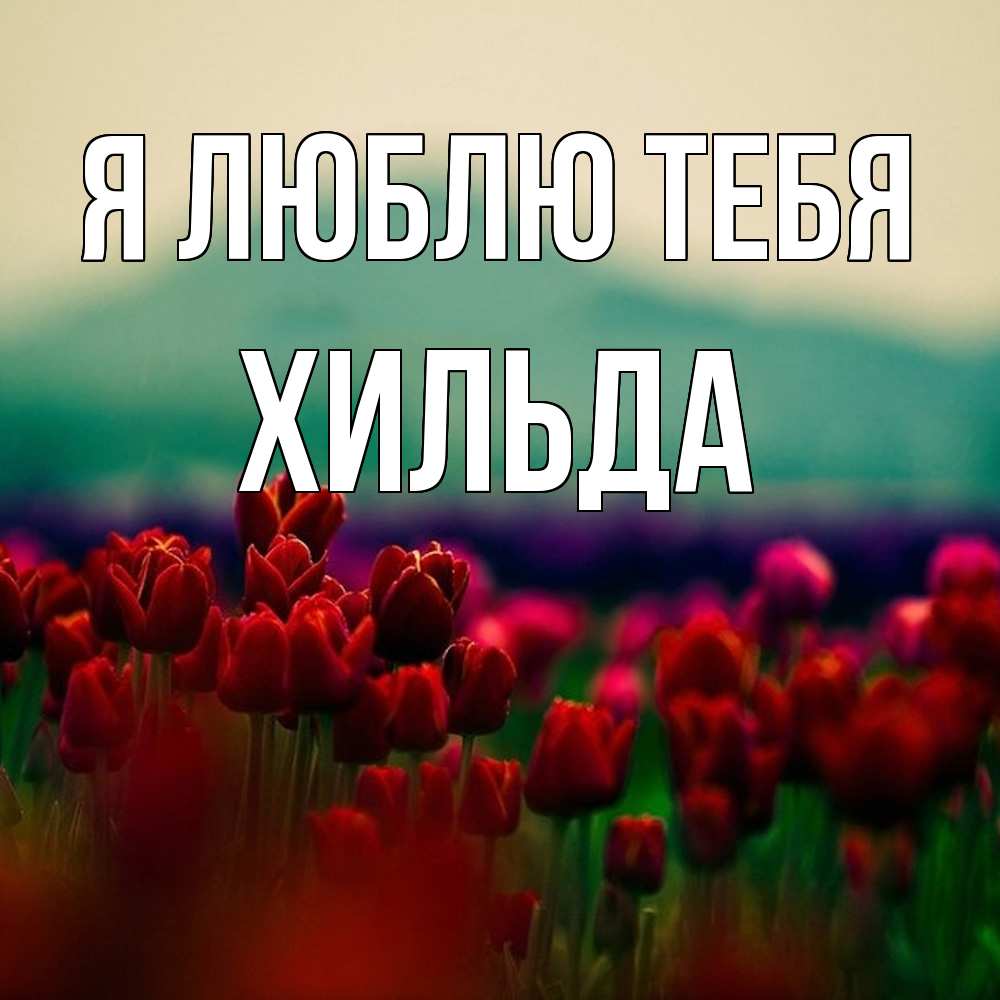 Открытка  с именем. Хильда, Я люблю тебя  