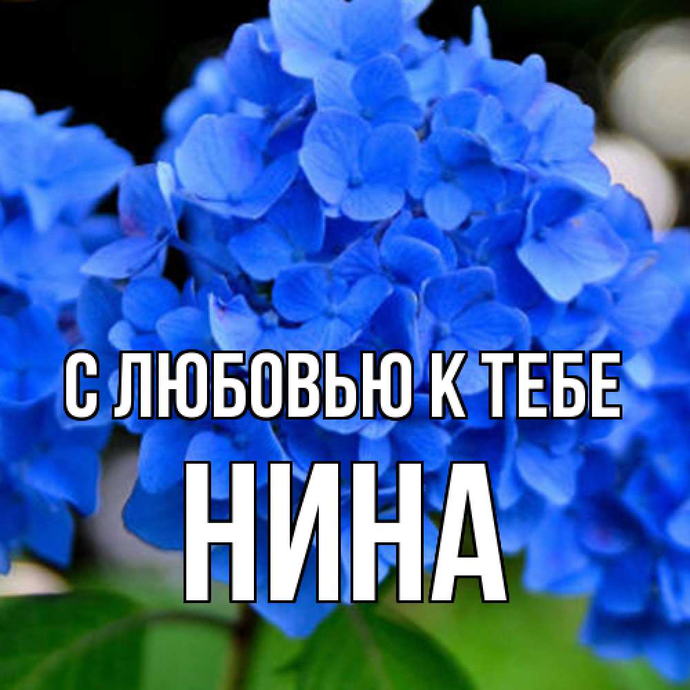 Открытка  с именем. Нина, С любовью к тебе  