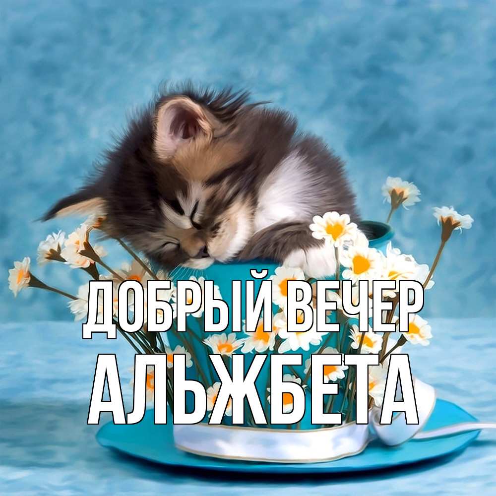 Открытка  с именем. Альжбета, Добрый вечер  