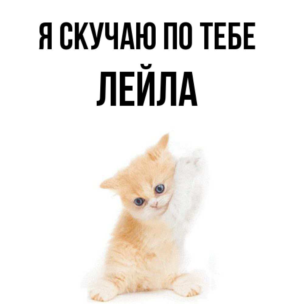 Открытка  с именем. Лейла, Я скучаю по тебе  