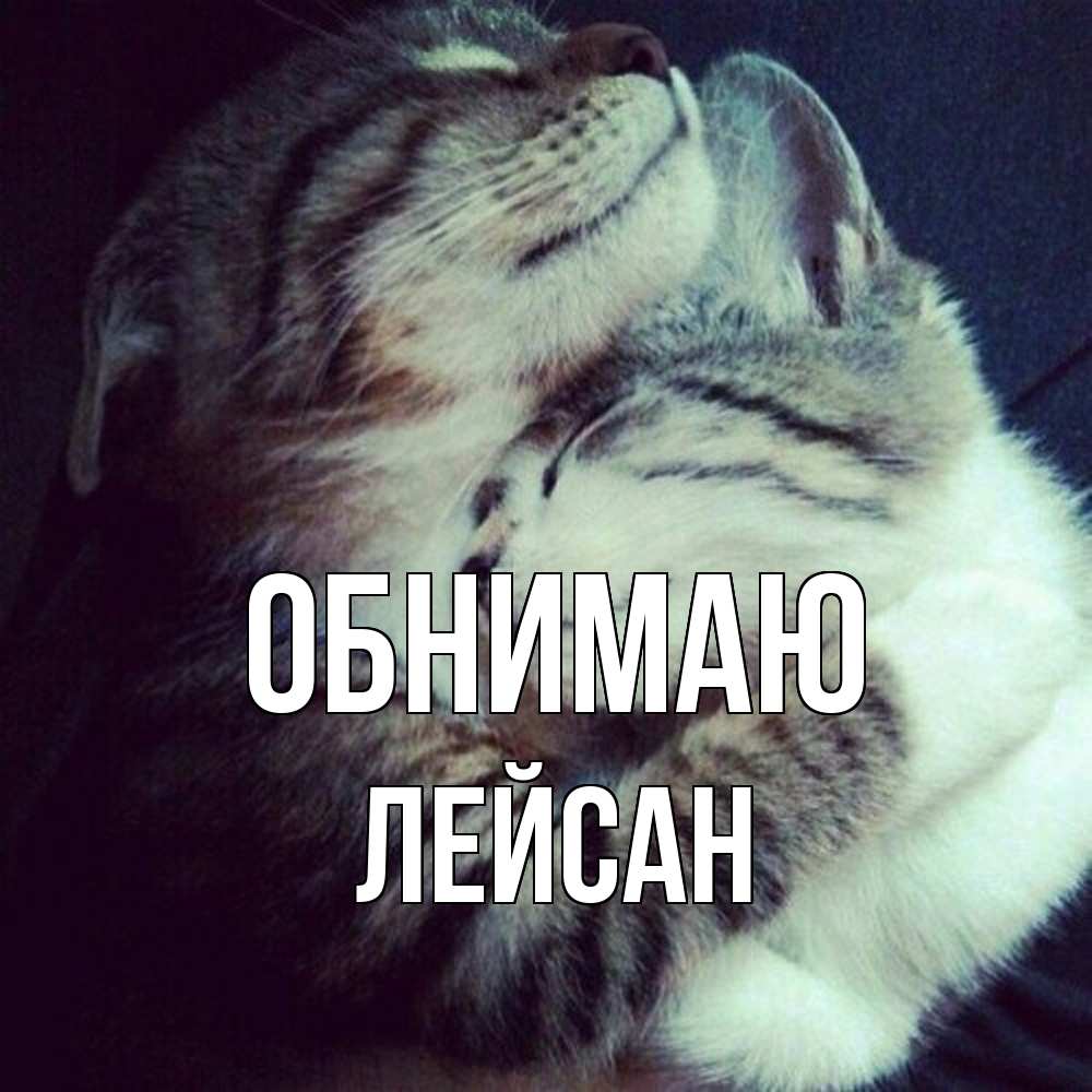 Открытка  с именем. Лейсан, Обнимаю  