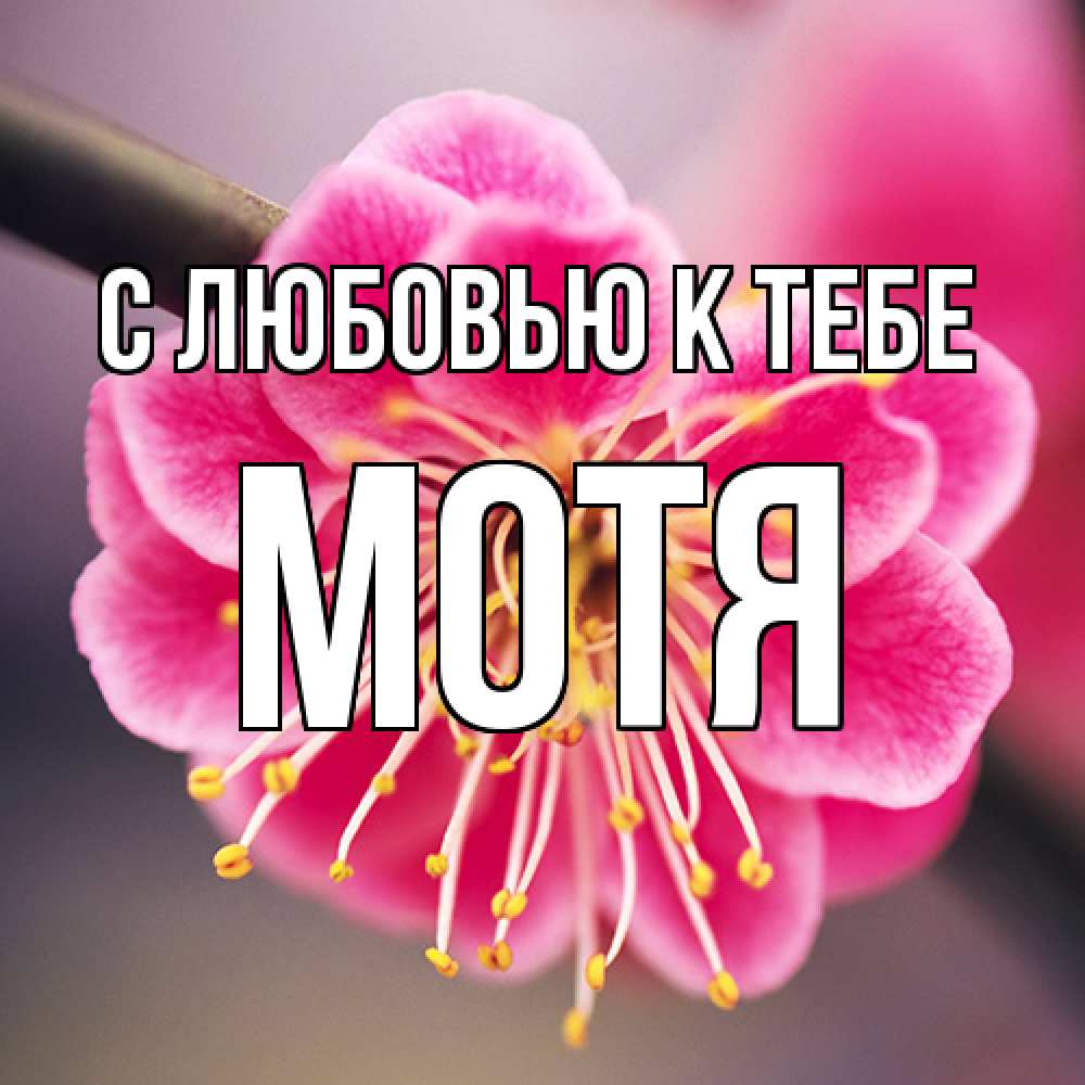 Открытка  с именем. Мотя, С любовью к тебе  