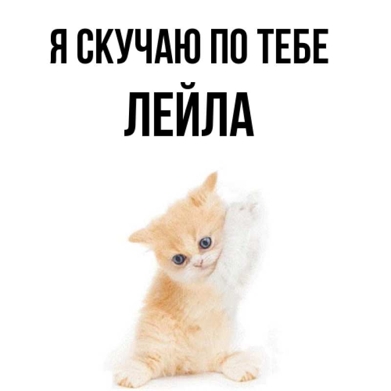 Картинка Я скучаю по тебе, Лейла