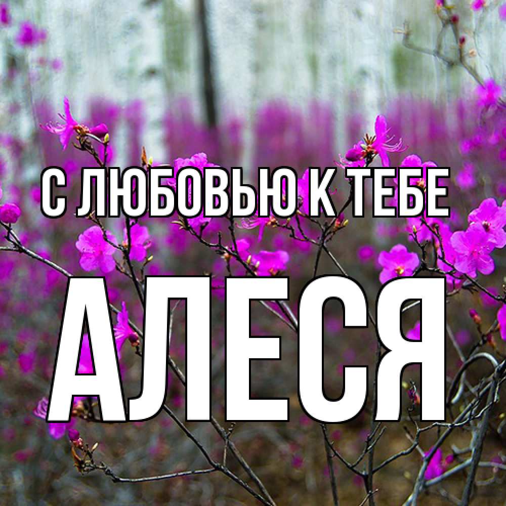 Открытка  с именем. Алеся, С любовью к тебе  