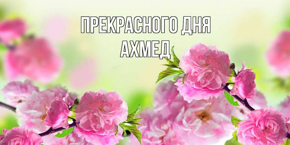 Открытка  с именем. Ахмед, Прекрасного дня  