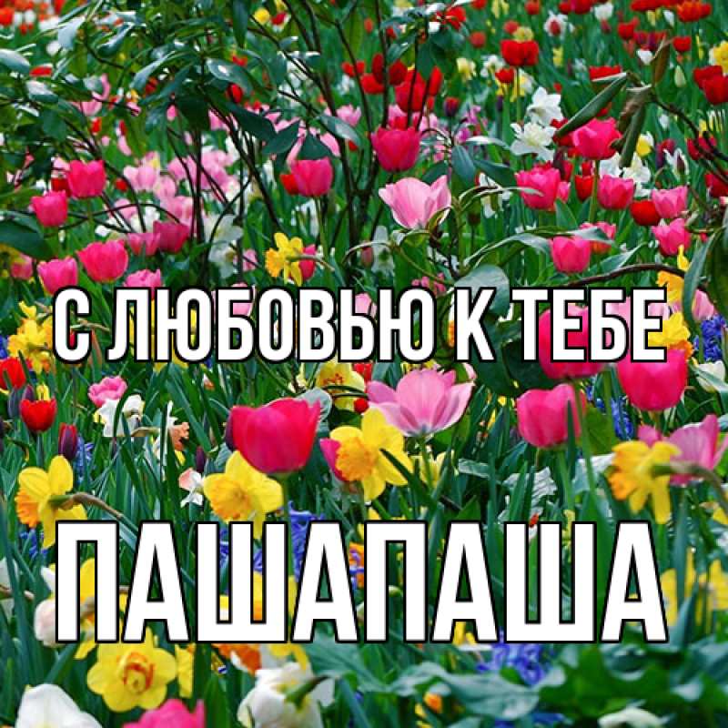Открытка с именем, Пашапаша, С любовью к тебе