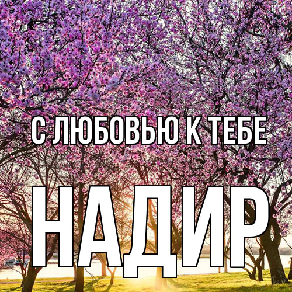 Открытка  с именем. Надир, С любовью к тебе  